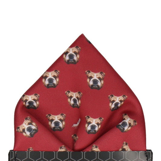 Bulldog Face Red Pocket Square - Pocket Square with Free UK Delivery - Mrs Bow Tie